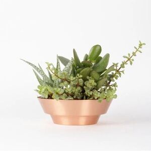 Copper Bowl 8" Plant Pot or Bowl